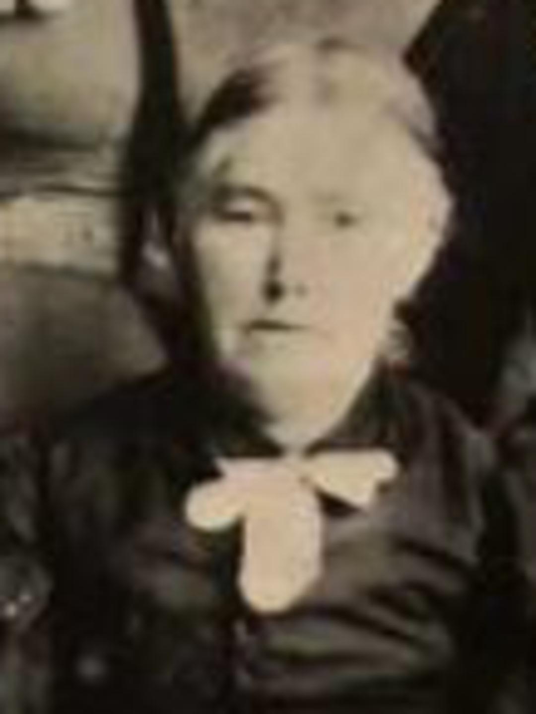 Julia Ann Williams (1839 - 1911) Profile